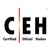 EC Council Certified Ethical Hacker (Theory)