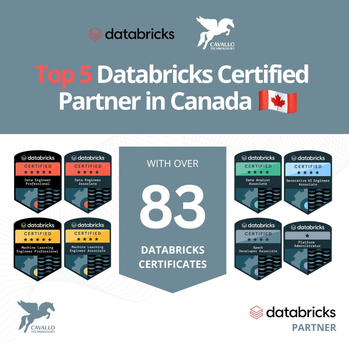 Cavallo Technologies is among Top 5 Databricks Partner in Canada!